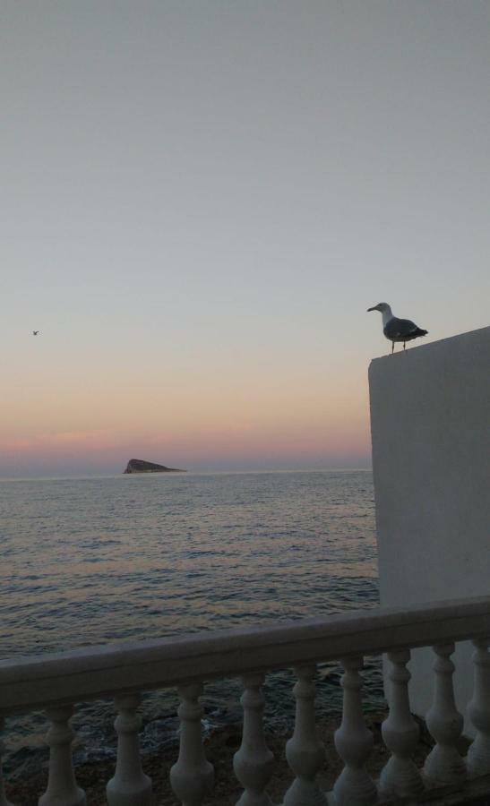 Apartamento Villamar *